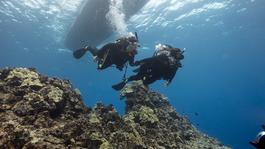  Discovery Scuba Diving - DSD 